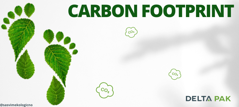 Carbon Footprint